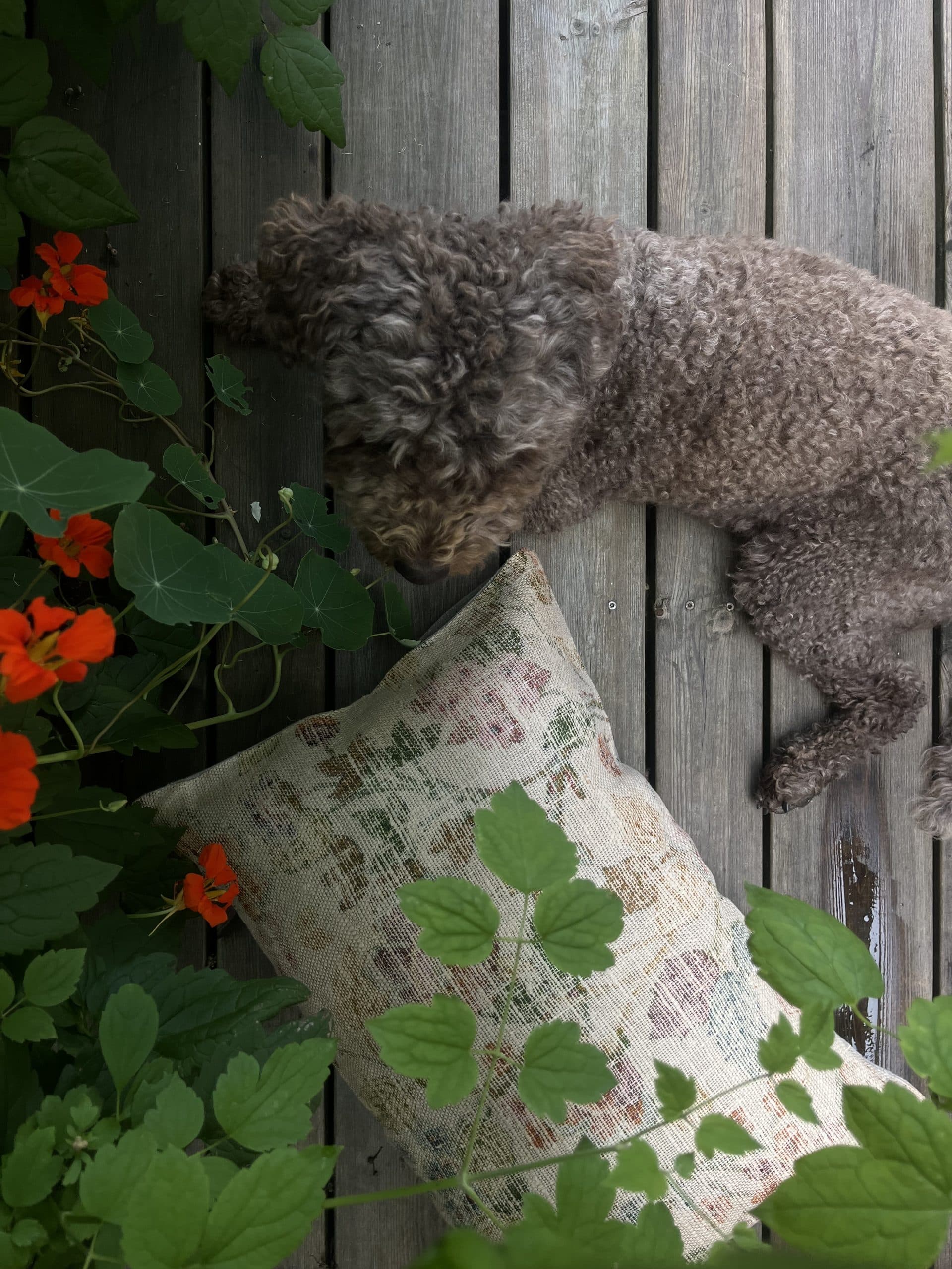 Vintage kudde nr.2 - Bild 5