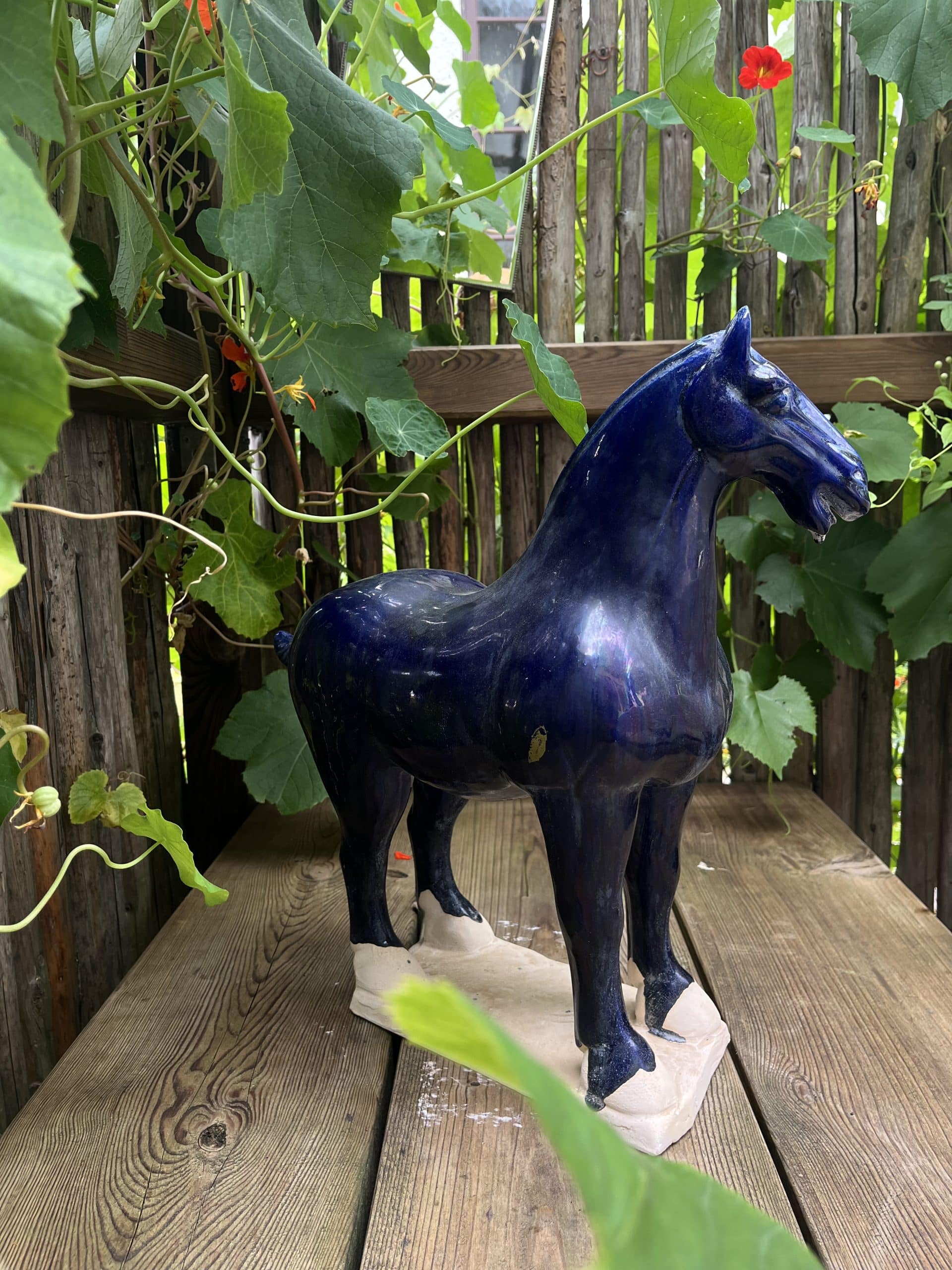 Tanghäst Blå - Bild 2