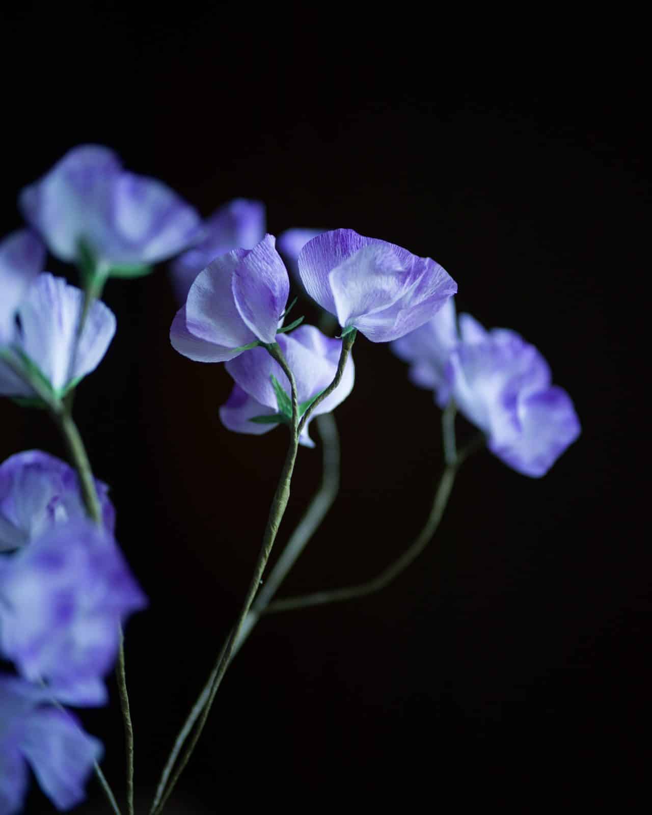 Ett knippe luktärter