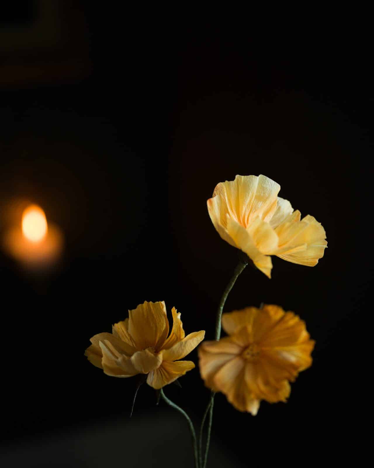 Ett knippe rosenskära